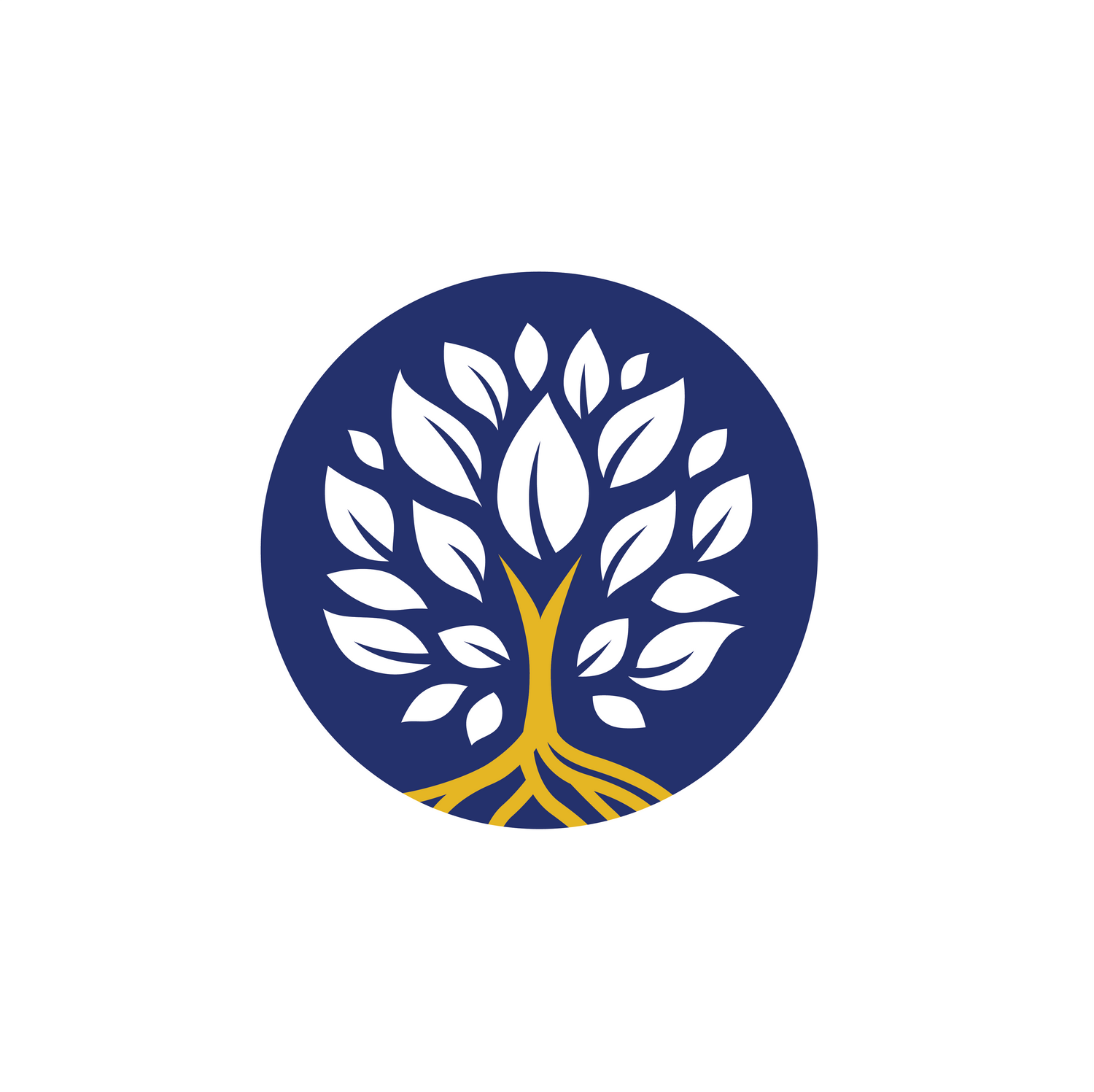 KIPP Woodson Park Academy